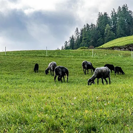 Zoeschgenhof Apartamento