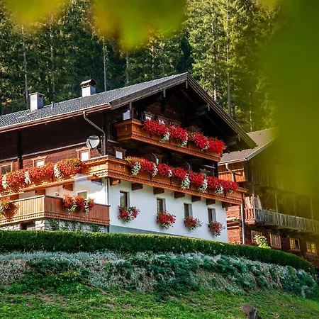 Zöschgenhof Apartment