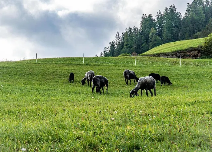 Zöschgenhof Apartment